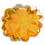 Simbología de la flor de Zempazuchitl